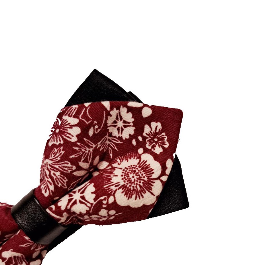 Papillon bicolore con Pochette fantasia - immagine 3