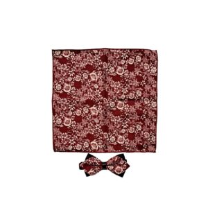 Papillon bicolore con Pochette fantasia